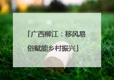 广西柳江：移风易俗赋能乡村振兴