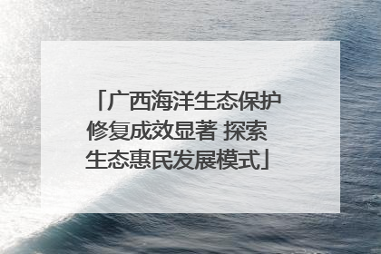 广西海洋生态保护修复成效显著 探索生态惠民发展模式