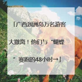 广西涠洲岛万名游客大撤离！他们与“蝴蝶”赛跑的48小时→
