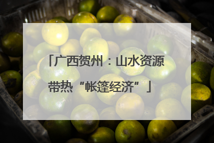 广西贺州：山水资源带热“帐篷经济”