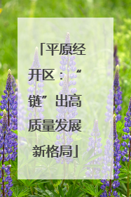 平原经开区：“链”出高质量发展新格局