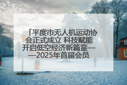 平度市无人机运动协会正式成立 科技赋能开启低空经济新篇章——2025年首届会员大会暨无人机应用发展论坛成功举办
