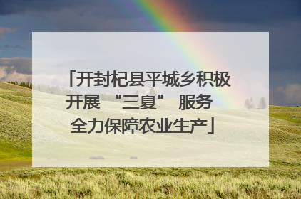 开封杞县平城乡积极开展 “三夏” 服务 全力保障农业生产