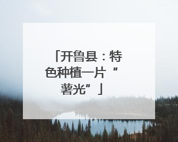 开鲁县：特色种植一片“薯光”