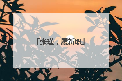 张瑾，履新职