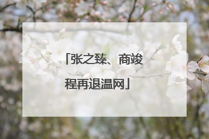 张之臻、商竣程再退温网