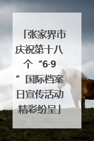 张家界市庆祝第十八个“6·9”国际档案日宣传活动精彩纷呈