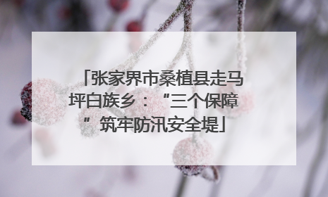 张家界市桑植县走马坪白族乡：“三个保障”筑牢防汛安全堤