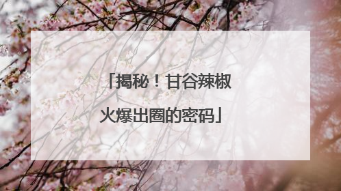 揭秘！甘谷辣椒火爆出圈的密码