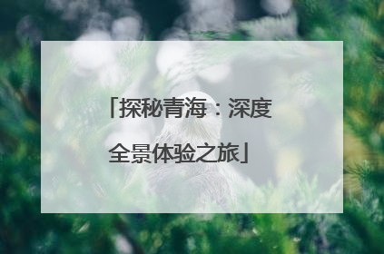探秘青海：深度全景体验之旅