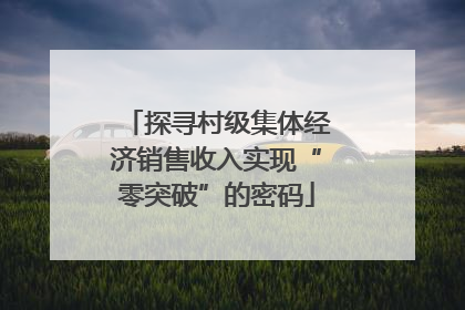 探寻村级集体经济销售收入实现“零突破”的密码