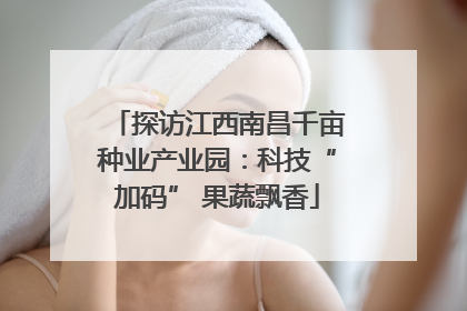 探访江西南昌千亩种业产业园：科技“加码” 果蔬飘香