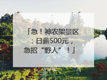 急！神农架景区：日薪500元，急招“野人”！