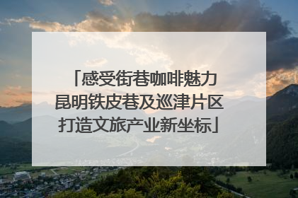 感受街巷咖啡魅力 昆明铁皮巷及巡津片区打造文旅产业新坐标