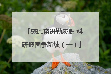 感恩奋进勤履职 科研报国争新绩（一）