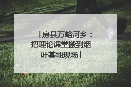 房县万峪河乡：把理论课堂搬到烟叶基地现场