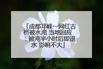 成都邛崃一网红古桥被水淹 当地回应：被淹半小时后即退水 影响不大