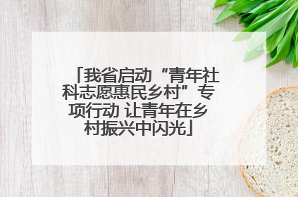 我省启动“青年社科志愿惠民乡村”专项行动 让青年在乡村振兴中闪光