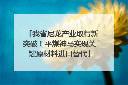 我省尼龙产业取得新突破！平煤神马实现关键原材料进口替代