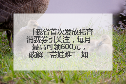 我省首次发放托育消费券引关注，每月最高可领600元，破解“带娃难” 如何不负所“托”？