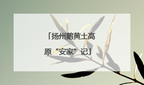 扬州鹅黄土高原“安家”记