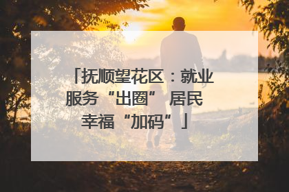 抚顺望花区：就业服务“出圈” 居民幸福“加码”