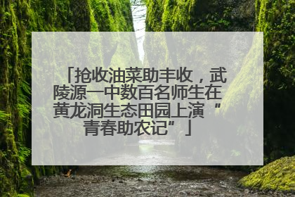 抢收油菜助丰收，武陵源一中数百名师生在黄龙洞生态田园上演“青春助农记”