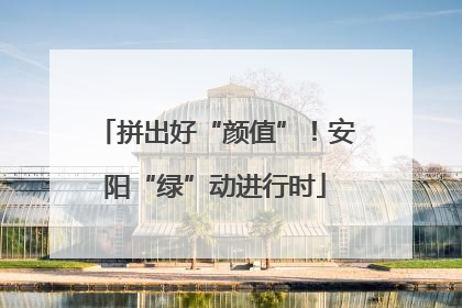 拼出好“颜值”！安阳“绿”动进行时