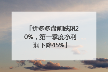 拼多多盘前跌超20%，第一季度净利润下降45%