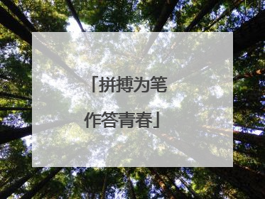 拼搏为笔 作答青春