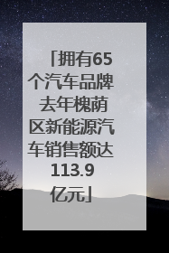 拥有65个汽车品牌 去年槐荫区新能源汽车销售额达113.9亿元