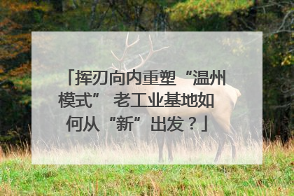 挥刃向内重塑“温州模式” 老工业基地如何从“新”出发？