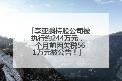 李亚鹏持股公司被执行约244万元，一个月前因欠税561万元被公告！