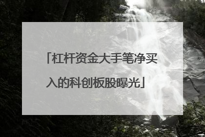 杠杆资金大手笔净买入的科创板股曝光