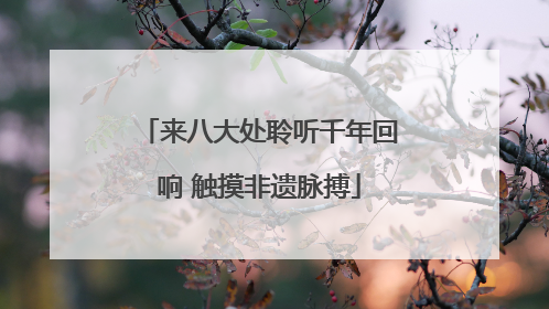 来八大处聆听千年回响 触摸非遗脉搏