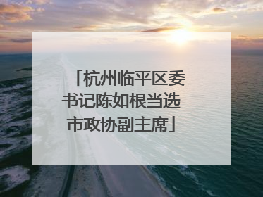 杭州临平区委书记陈如根当选市政协副主席
