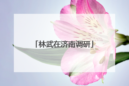 林武在济南调研