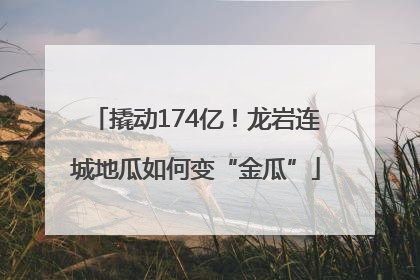 撬动174亿！龙岩连城地瓜如何变“金瓜”