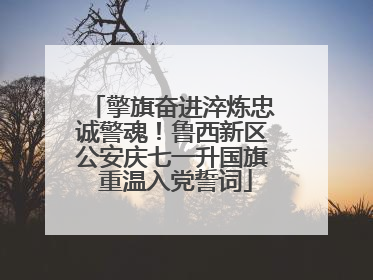 擎旗奋进淬炼忠诚警魂！鲁西新区公安庆七一升国旗 重温入党誓词