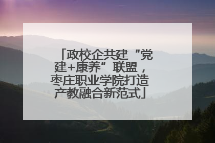 政校企共建“党建+康养”联盟，枣庄职业学院打造产教融合新范式
