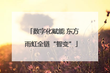 数字化赋能 东方雨虹全链“智变”