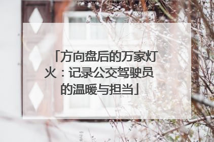 方向盘后的万家灯火：记录公交驾驶员的温暖与担当