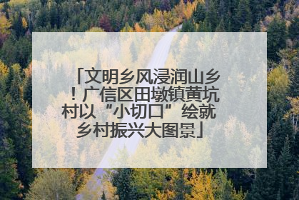 文明乡风浸润山乡！广信区田墩镇黄坑村以“小切口”绘就乡村振兴大图景