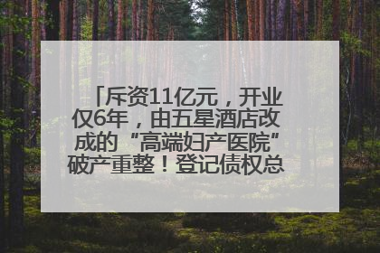 斥资11亿元，开业仅6年，由五星酒店改成的“高端妇产医院”破产重整！登记债权总额已超17亿元