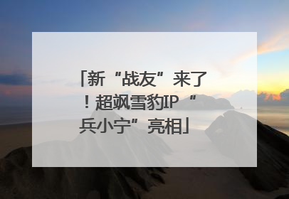 新“战友”来了！超飒雪豹IP“兵小宁”亮相