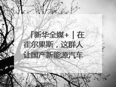 新华全媒+｜在霍尔果斯，这群人让国产新能源汽车“跑”向中亚