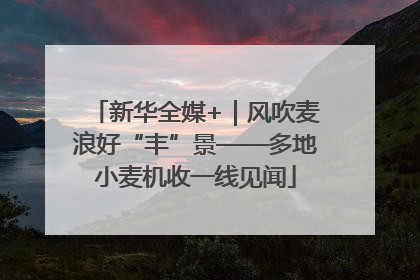 新华全媒+｜风吹麦浪好“丰”景——多地小麦机收一线见闻