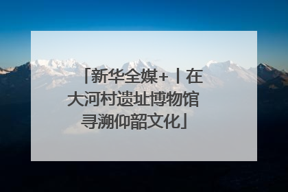 新华全媒+丨在大河村遗址博物馆寻溯仰韶文化