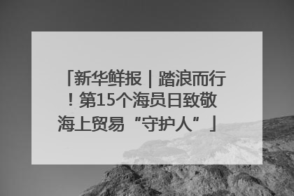 新华鲜报｜踏浪而行！第15个海员日致敬海上贸易“守护人”