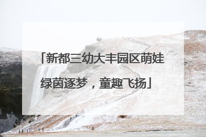 新都三幼大丰园区萌娃绿茵逐梦，童趣飞扬